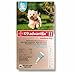 BAYER 004BAY-04458498 K9 Advantix II for Medium Dogs 11 - 20 lbs, Teal - 4 Months