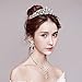Sparkle Metal Jeweled Crystal Rhinestone Queen Crown Tiara Headband Bridal Pageant (Gold)