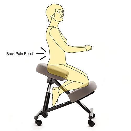 Dr.lomilomi Adjustable Ergonomic Kneeling Chair 512 for Back Pain Relief (Black)