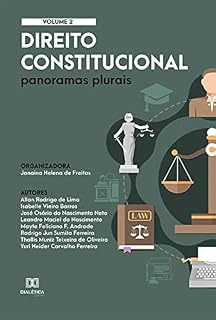 Livro Direito Constitucional: panoramas plurais: Volume 2