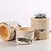 Succulent Plant Birch Bark Holder Tealight Candleholders Birch Flower Pots Wooden Candle Holder Party Decoration 4 Pcs