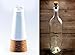 Xcellent Global Set of 4 Color Changing Wine Bottle LED Lights Cork Shaped USB Powered LED Lights Rechargeable Flights or Party LD069x4
