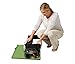 Graco Pack 'n Play On the Go Playard, Bear Trail