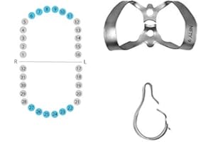 Rubber Dam Clamp Anterior