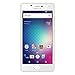 BLU Studio Touch - 4G LTE Smartphone -GSM Unlocked - Gold