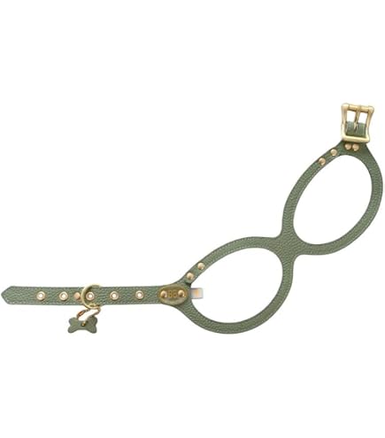 Amazon.com : BUDDY BELT Harness Pebble Grain Blue - Premium