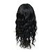 Feibin Synthetic Wigs For Black Women Natural Curly Wavy Style Synthetic Party Cosplay Wigs Natural Black Color 20 Inch