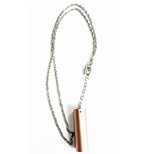 HWHMH Stainless Steel Necklace For Misfit Ray (No Tracker, One Size, Fits Most Neck) (Silver)