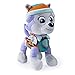 Paw Patrol PLH Talking Everest GBL Plush
