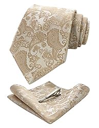 JEMYGINS Gold Paisley Tie Wedding Business Silk