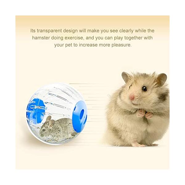 hamster exercise toys