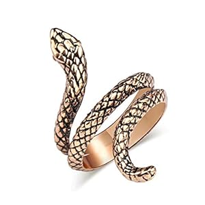 41JeHXAmY%2BL. SS300