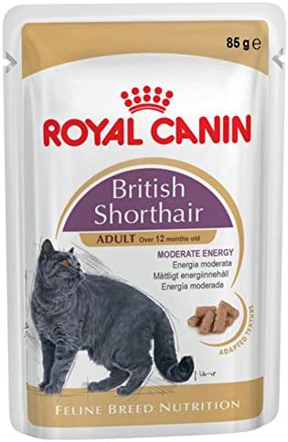 Royal Canin Breed British Shorthair Saver Pack: 48 x 85g