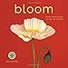 Bloom 2017 Wall Calendar: Flower Photography by Ron Van Dongen