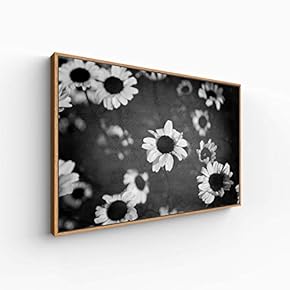 Canvas Wall Art for Living Room, Bedroom Monochrome Plants Framed Canvas Prints for Home Decoration Ready to Hang - 16x24 inches