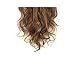 FIRSTLIKE Grade 7A 160g 23-24 Inch Real Thick Double Weft Full Head Clip In Hair Extensions, Ash Blonde Mix Ginger Brown, 24