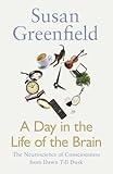A Day in the Life of the Brain: The Neuroscience of Consciousness from Dawn Till Dusk