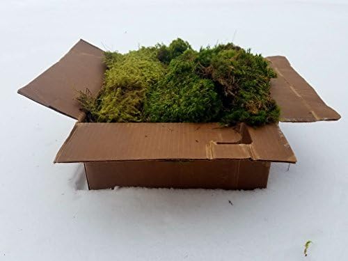 EZ Trading Super Assorted Mixed Mosses (1 Cubic Foot)