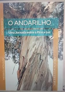Livro O ANDARILHO: Uma Jornada entre o Pó e a Luz