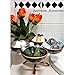Galrose Appetizer Dishes on Stand – 4 Condiment Bowl Set Galvanized Iron with Rose Gold Accents each Party Serving Bowl Holds 1 Cup. Chip and Dip Serving Set for Snacks. Gift for Her Iron Anniversary