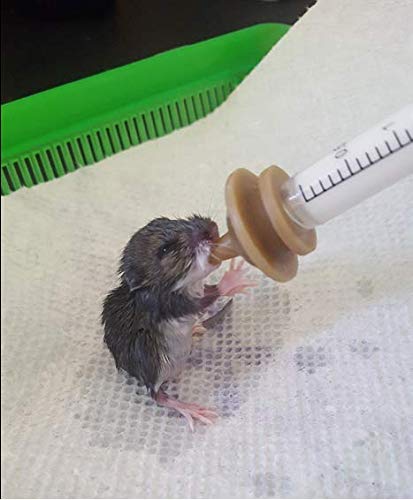 Gufastoe Mini Nipple with Syringes for Pets and Wildlife