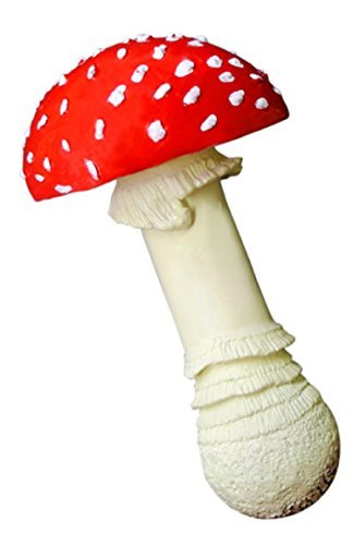 Freely mushroom Amanita muscaria