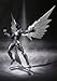 S.H. Figuarts : Axel World Silver Crow