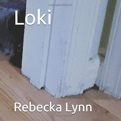 Loki Paperback – 2 Nov 2018