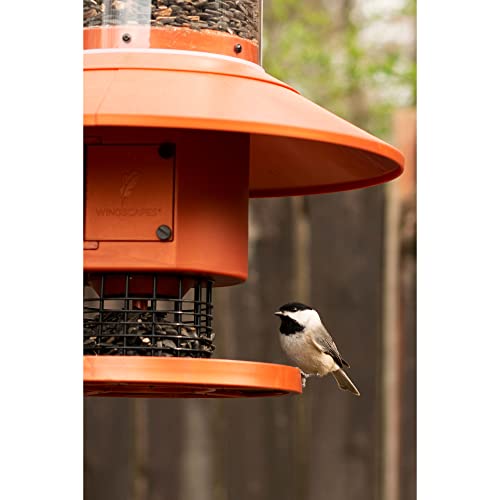 Wingscapes Bird & Chicken AutoFeeder, Sunset Copper Pricepulse