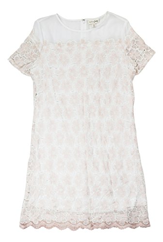 Maison Jules Lace Contrast Floral Sheath Dress Soft Petal Medium | Desertcart Guyana Maison Jules Lace Contrast Floral Sheath Dress Soft Petal Medium | Desertcart Guyana