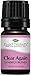 Plant Therapy Clear Again Synergy Essential Oil Blend 5 Ml (1/6 Oz) 100% Pure, Undiluted, Therapeutic Grade