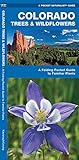Colorado Trees & Wildflowers: A Folding Pocket Guide to Familiar Plants (Wildlife and Nature Identification)