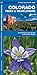 Colorado Trees & Wildflowers: A Folding Pocket Guide to Familiar Plants (Wildlife and Nature Identification) primary
