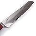 TUO Cutlery Ring Seires Japanese VG10 67 Layers Damascus Serrated Bread Knife 9