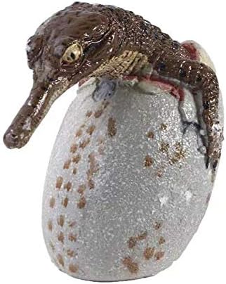 Torso Heart Brain Skeleton Medical School教育用孵化恐竜の卵 恐竜の骨の