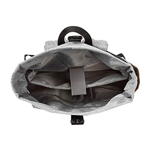 Amazon Basics AntiTheft Roll Top Backpack Gray Pricepulse