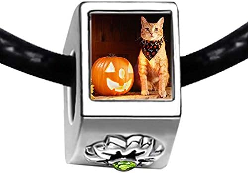 cute cat Halloween costume pumpkin Peridot Crystal August Birthstone Flower Bead Charm Bracelets