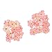 JETEHO 20Pcs Real Larkspur Dried Flowers Pressed Flowers DIY Preserved Flower Decorations