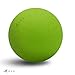 NDN LINE 8 Inch Playground Balls (Set of 8 deflated, for Schools and for Kids, Dodgeball, Kickball Pump Included)