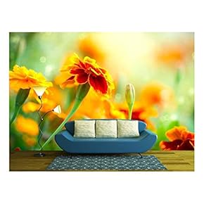 Tagetes Marigold Flower Autumn Flowers Background - Removable Wall Mural | Self-Adhesive Large Wallpaper - 66x96 inches