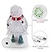 pearlstar Christmas Snow Globe Lighted Snowman Glitter Swirling Water Snowglobe Holiday Night Lights for Christmas Home, Living Room Decoration, Battery or USB Powered (Snowman)