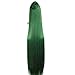 Angelaicos Women's Fiber Straight Cosplay Party Costume Wig Long Green 47 Inches