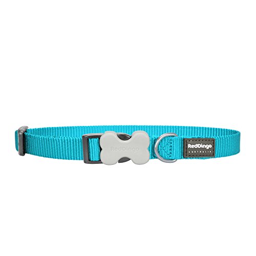 Red Dingo Classic Turquoise Dog Collar, Small/12mm