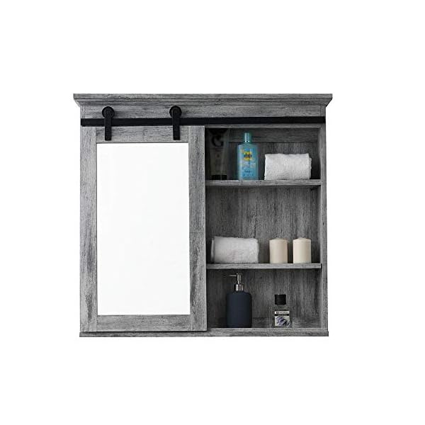Glacier Bay 31 in. x 29 in. Barn Door Medicine