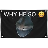 3x5 Feet Funny Students Single Sided Flags - Cool Fish Meme Poster Polyester for Bedroom Mans and Woman - Durable Banners with Quote ''Why He So'' with Four Brass Grommets - Cute College Dorm Decor