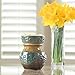 CANDLE WARMERS ETC. Illumination Fragrance Warmer- Light-Up Warmer for Warming Scented Candle Wax Melts and Tarts or Essential Oils to Freshen Room, Fleur De Lis