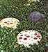 Jennifer's Mosaics Outdoor Cement, 10-Pound