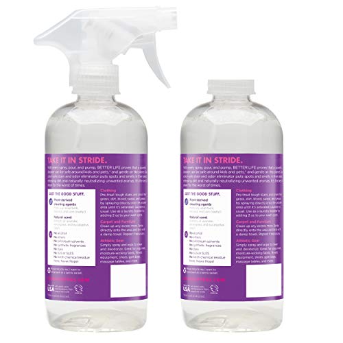 Better Life Stain & Odor Eliminator, Eucalyptus & Lemongrass, 16 Fluid