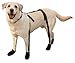 Canine Footwear Suspenders Snuggy Boots for Dog, Small, Black