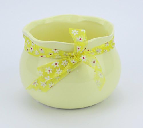HanFengTang Solid color round Refreshing mini suit pots bow-knot flower pot